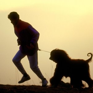 Aradığı Köpek İçin 10 İl Gezdi!